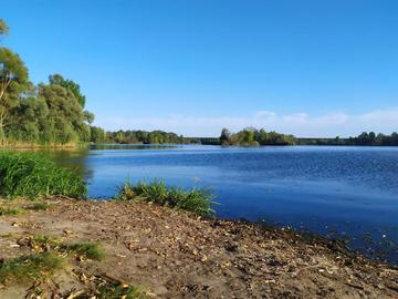 Камплиця (Задонецке)