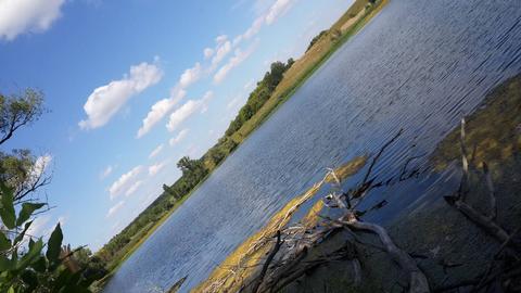 Сінне (ставок Новий)