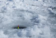 Успіх поплавчаного лову з льоду