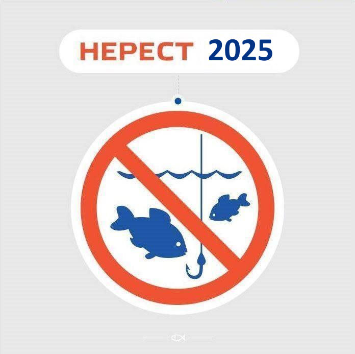 Накази про "Нерест 2025" по всіх областях України