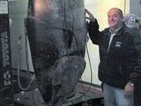 Рибалка виловив рекордного 400-кілограмового тунця