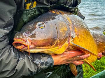 Прилбичі, закриття сезону