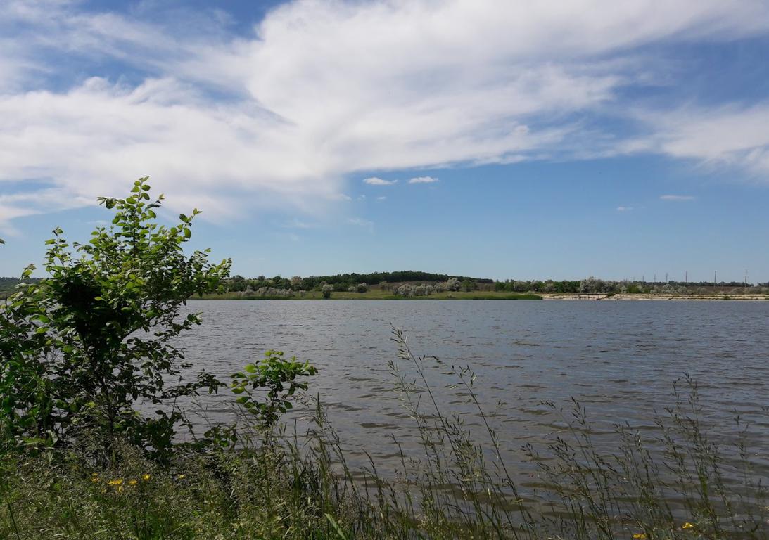 Костянтинівка (Хрущовський ставок)