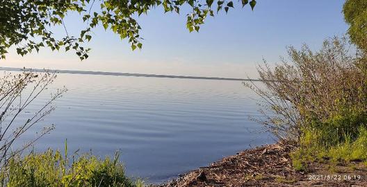 Бучак (Канівське водосховище)