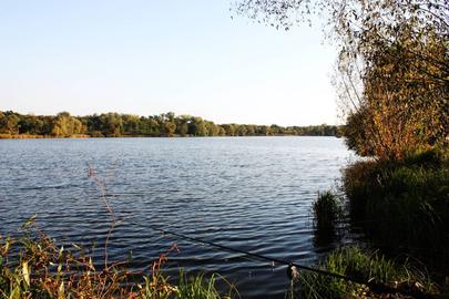Одринка