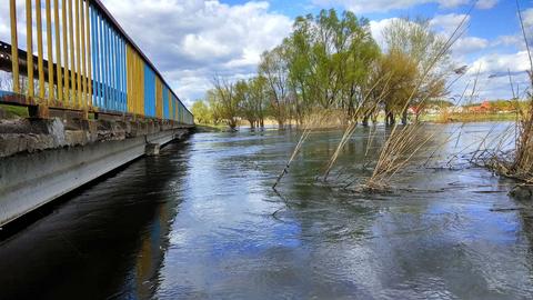 Черкасский Бишкин (Два Мости)