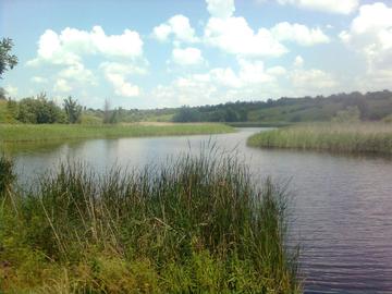 Молофедорівка (водосховище Боковенька)
