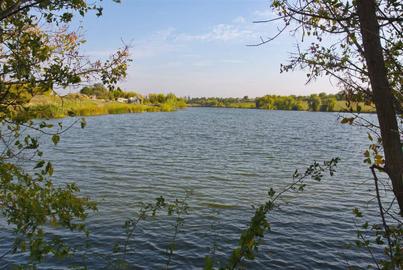 Квітка (Ставок Ногине)