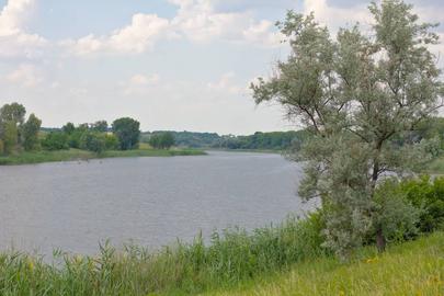 Зелений Гай