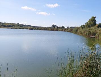 Гайдамацьке