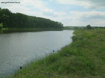 Карпівці (під лісом)