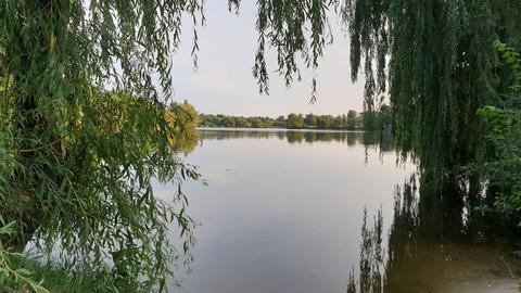 Пустовіти (Три кита)