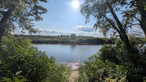 Острів Моряка (Річка Десна)