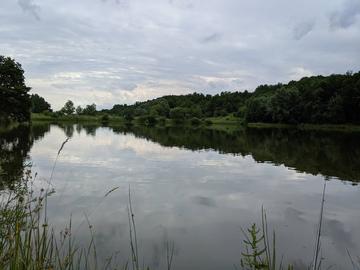 Рожнів