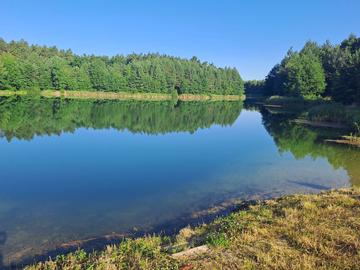 Голубі озера (Житомирська область)