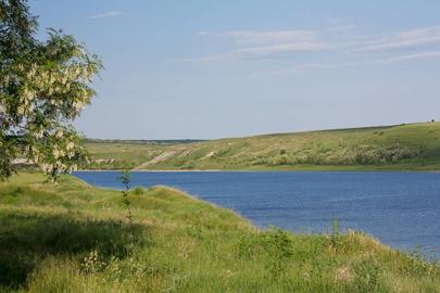 Гринчук (річка Дністер)