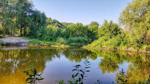 Попівка (Гирло річки Хорол)