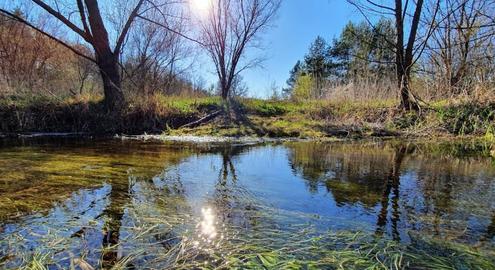 Рибальська база "Івашки"