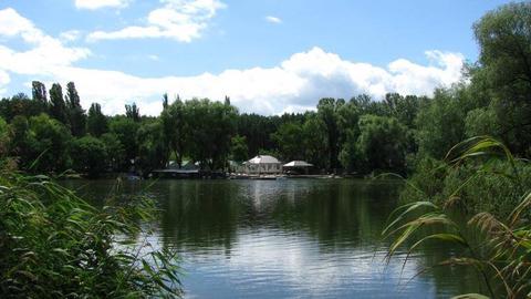 База відпочинку "Перлина" (Придніпрянське)