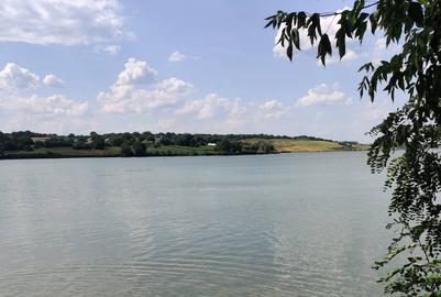 Турія