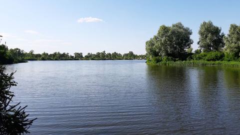 Полуничний острів (річка Десна)