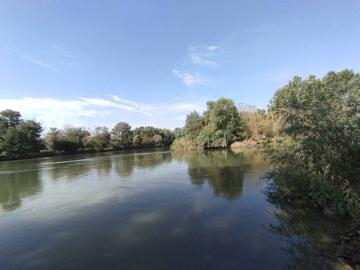 Яськи (річка Турунчук)
