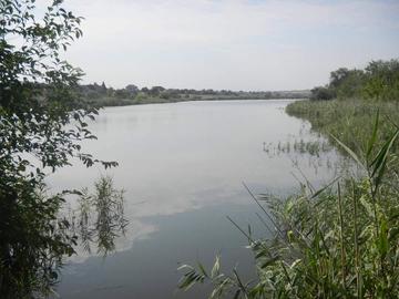 Великий Дальник (Трофей)