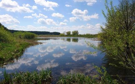 Ромашківка