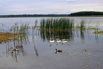 Озеро Пулемецьке