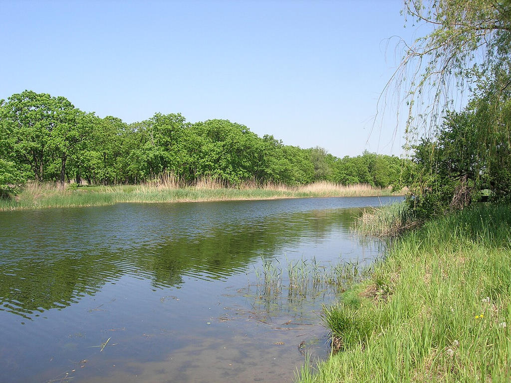 Самара